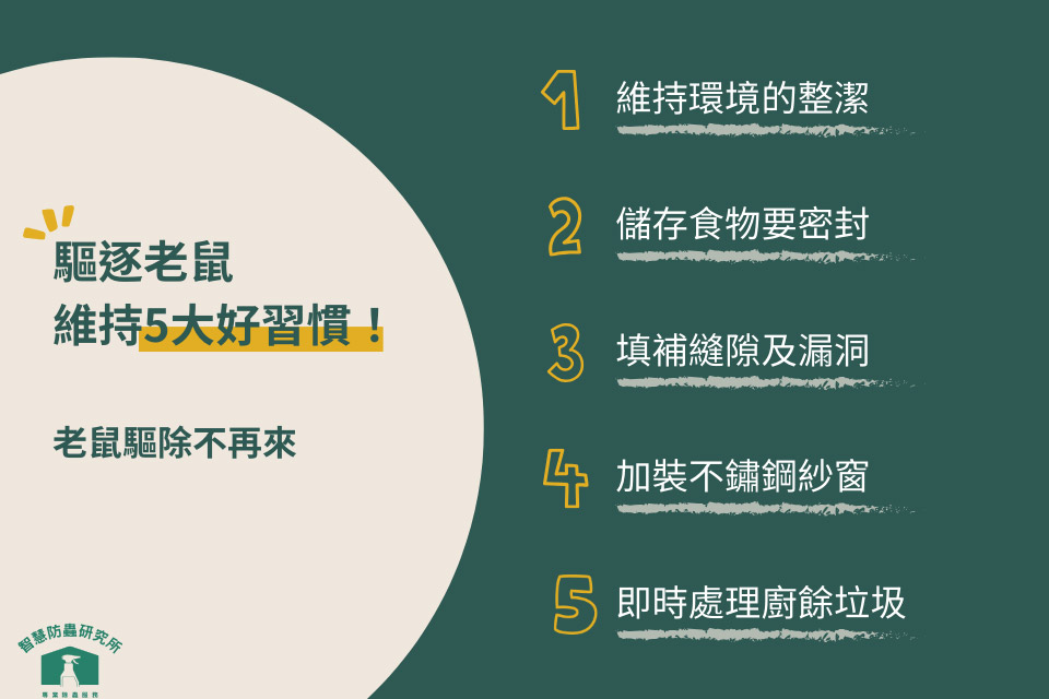 驅逐老鼠維持5大好習慣！老鼠驅除不再來