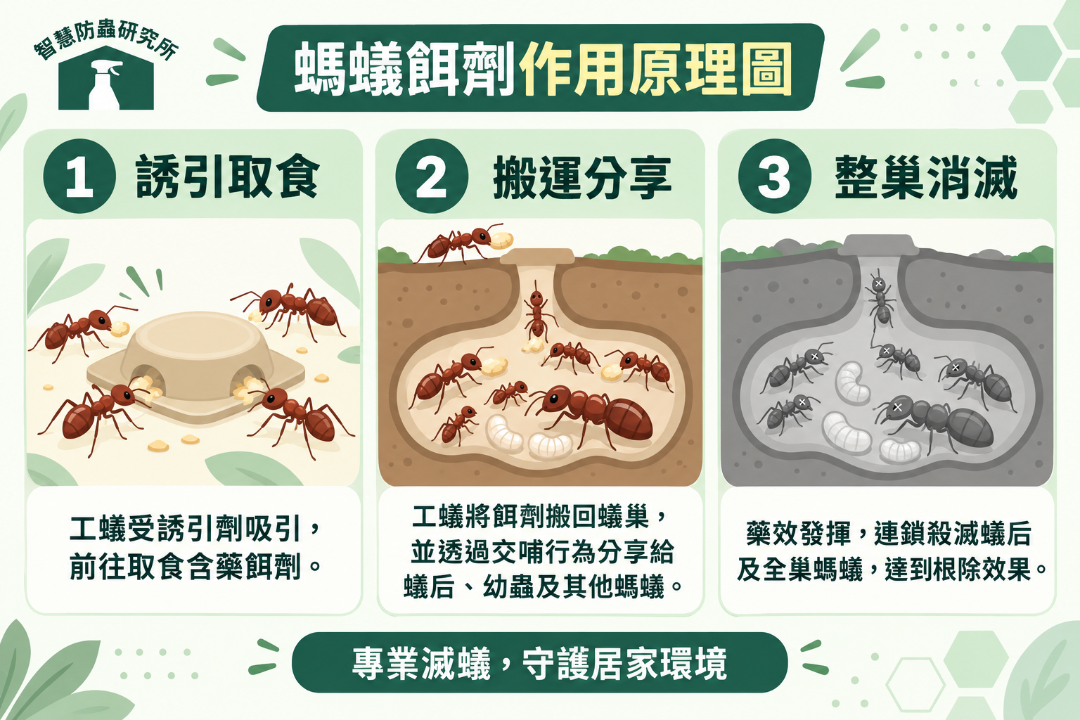 連鎖滅蟻說明