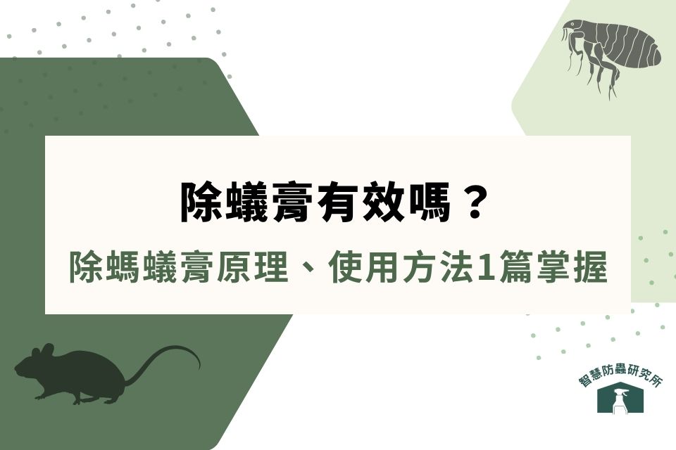除蟻膏有效嗎?如何使用?除螞蟻膏原理、使用方法1篇掌握
