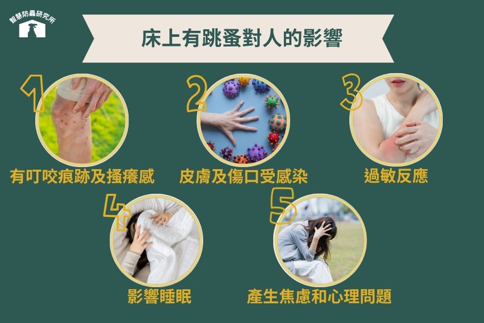 床上有跳蚤對人的影響