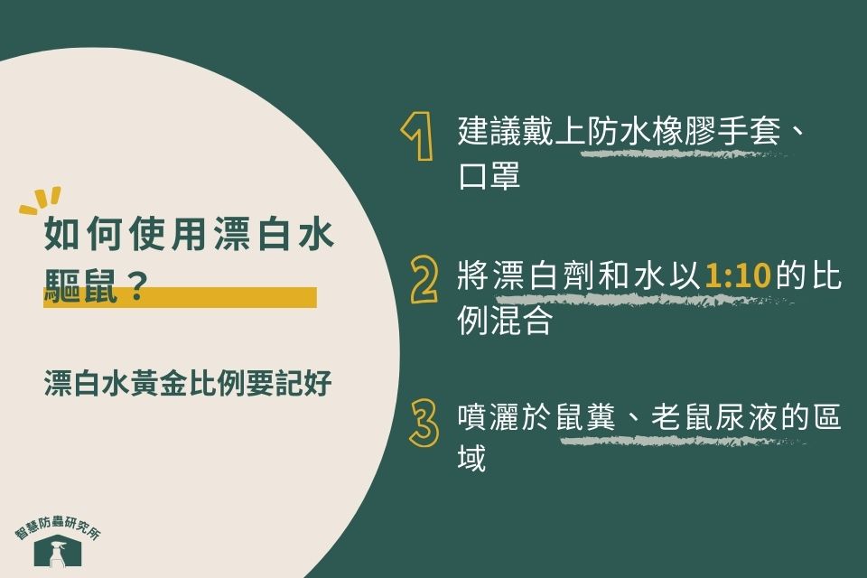 使用漂白水驅鼠的注意事項