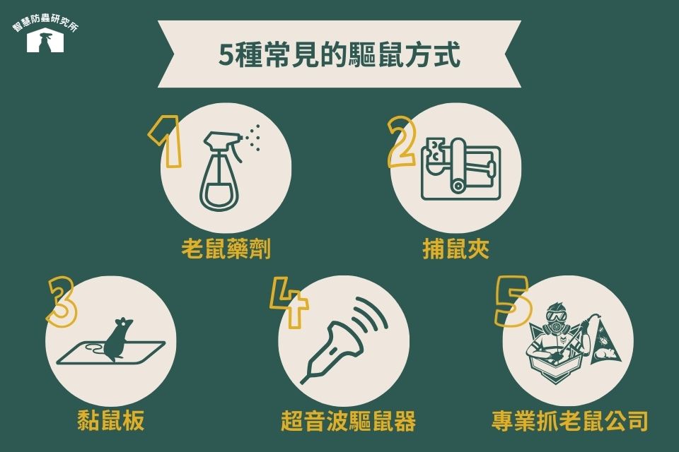 常見的驅鼠方式