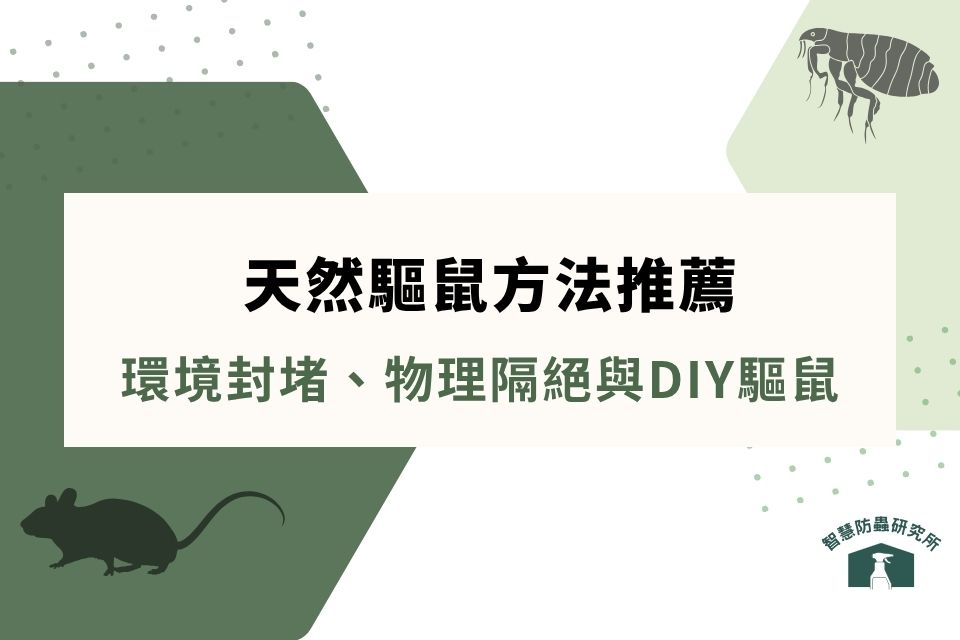 天然驅鼠方法推薦：環境封堵、物理隔絕與DIY驅鼠