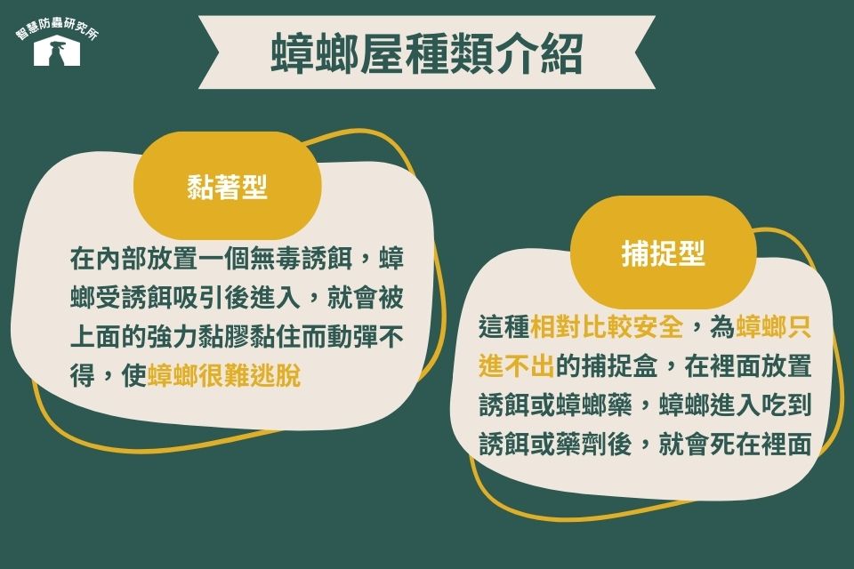 蟑螂屋種類