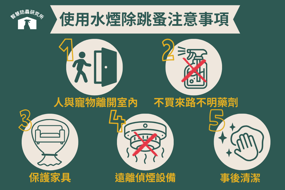 房間的床有跳蚤怎麼處理？除跳蚤水煙好用嗎？