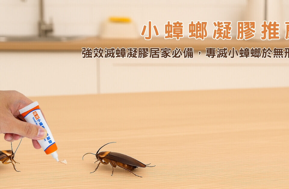 小蟑螂凝膠推薦：強效滅蟑凝膠居家必備，專滅小蟑螂於無形！