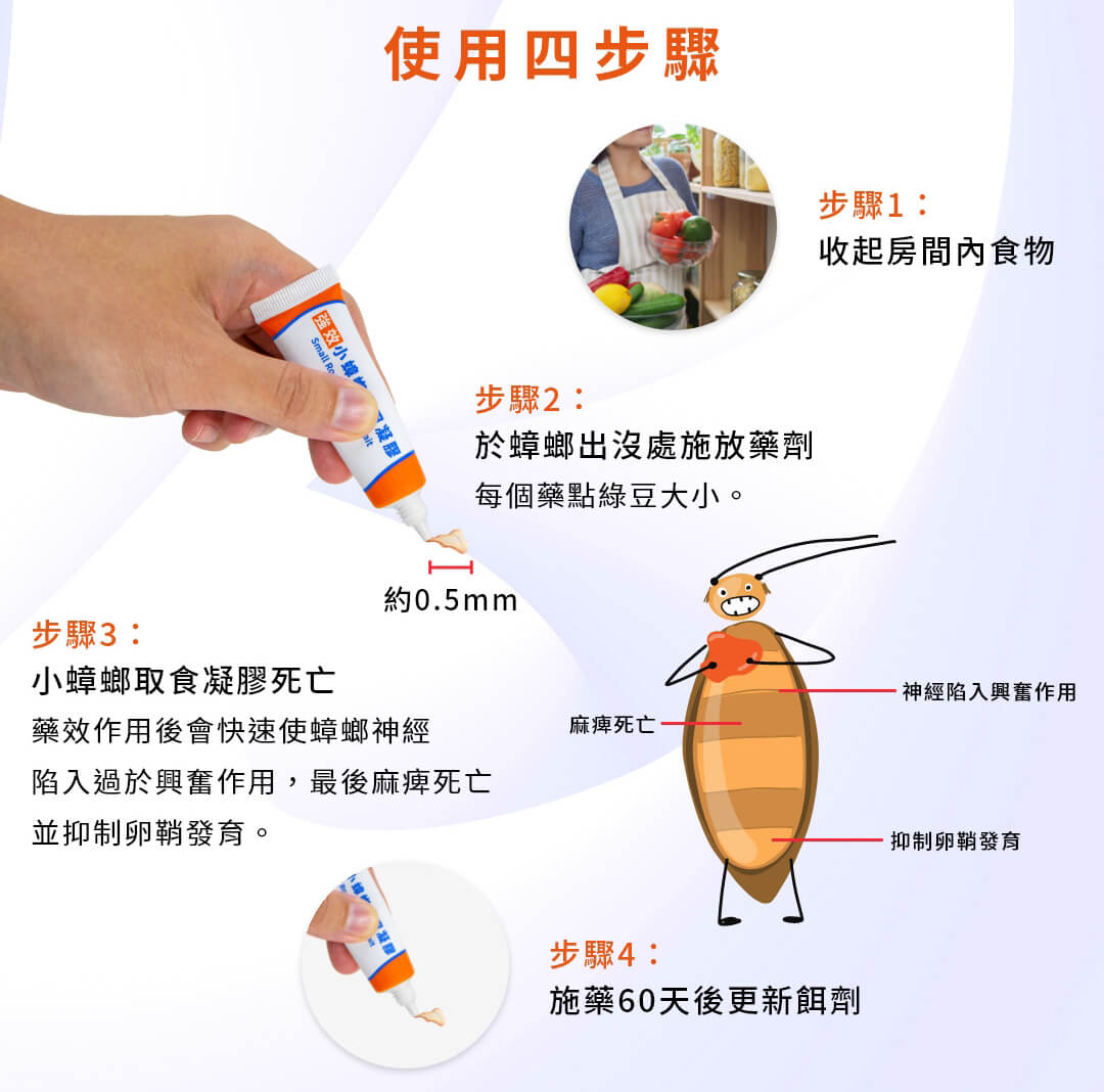 4步驟消滅小蟑螂