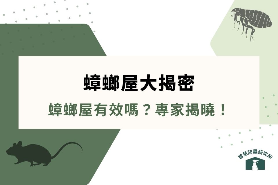 蟑螂屋大揭密：蟑螂屋有效嗎？專家揭曉有效殺蟑方法，讓蟑螂遠離你家！