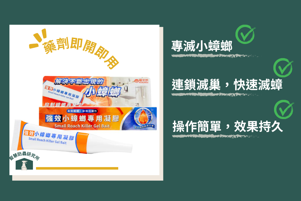 強效小蟑螂凝膠