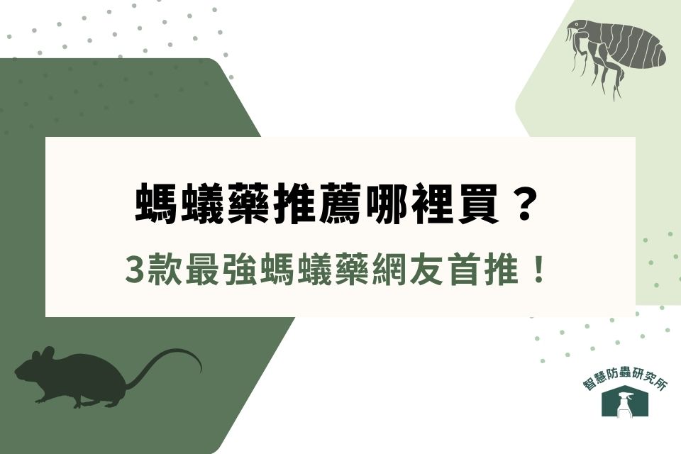 螞蟻藥推薦哪裡買?螞蟻藥DIY有效嗎?3款最強螞蟻藥網友首推!