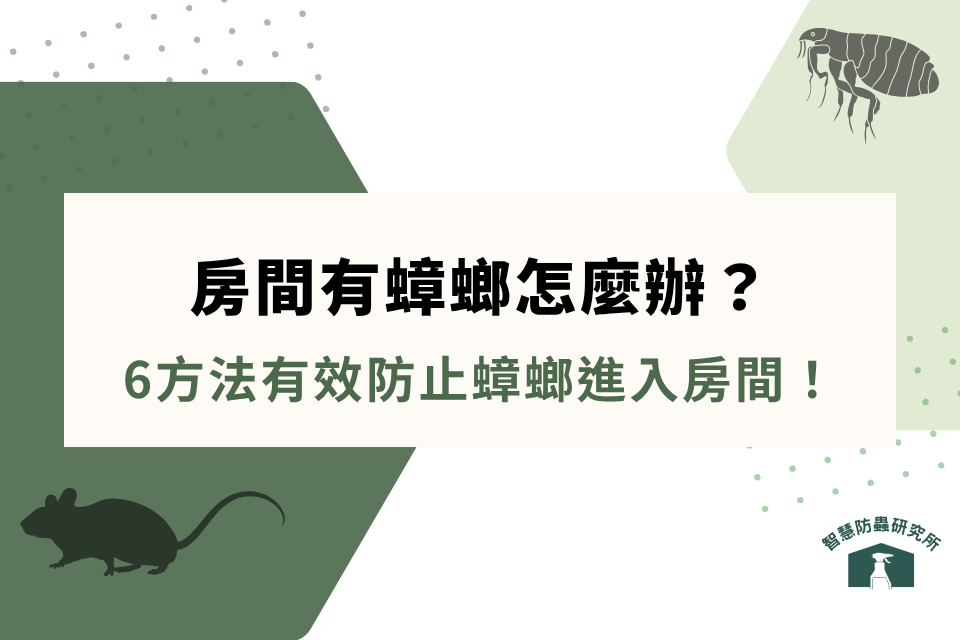 房間有蟑螂怎麼辦?防止蟑螂進入房間的6種秘訣!