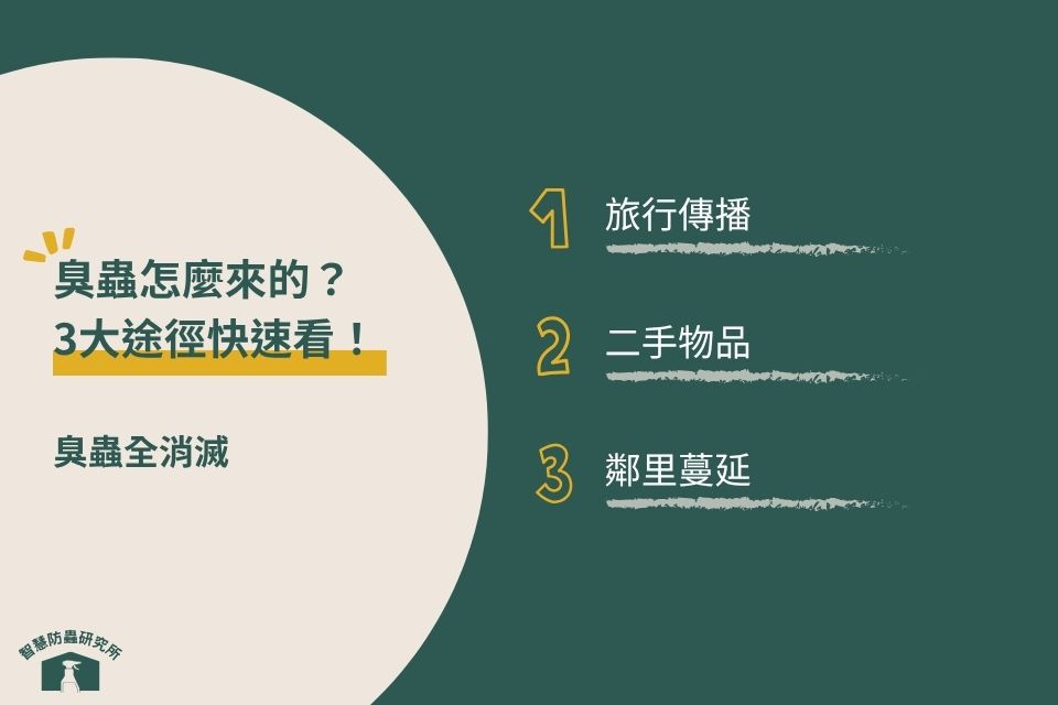 臭蟲入清途徑