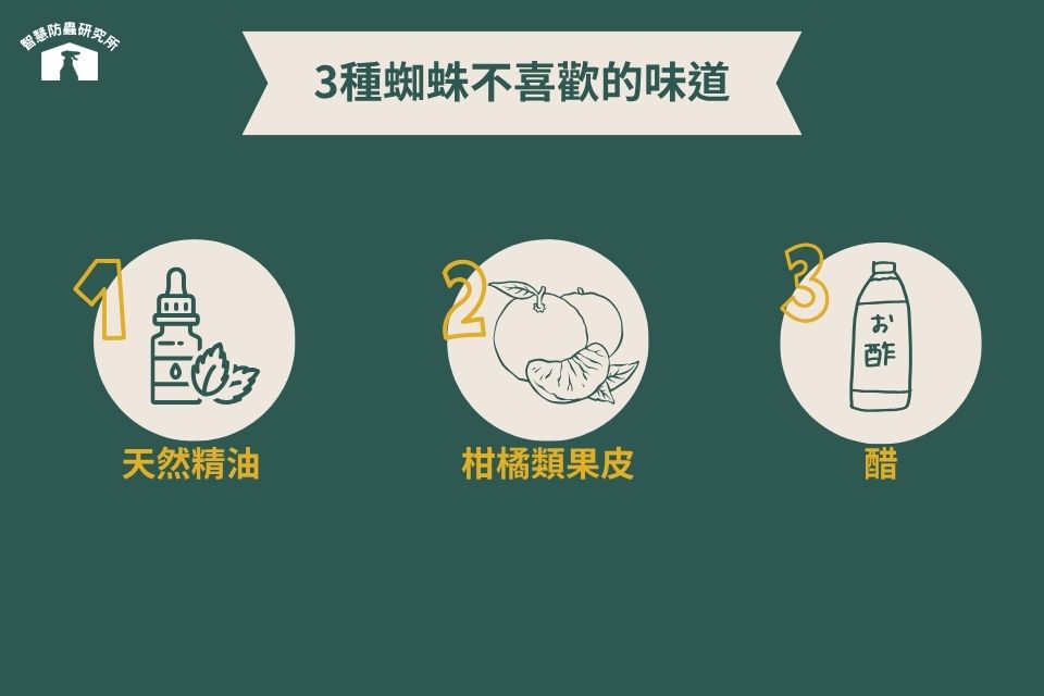 蜘蛛怕的天然氣味