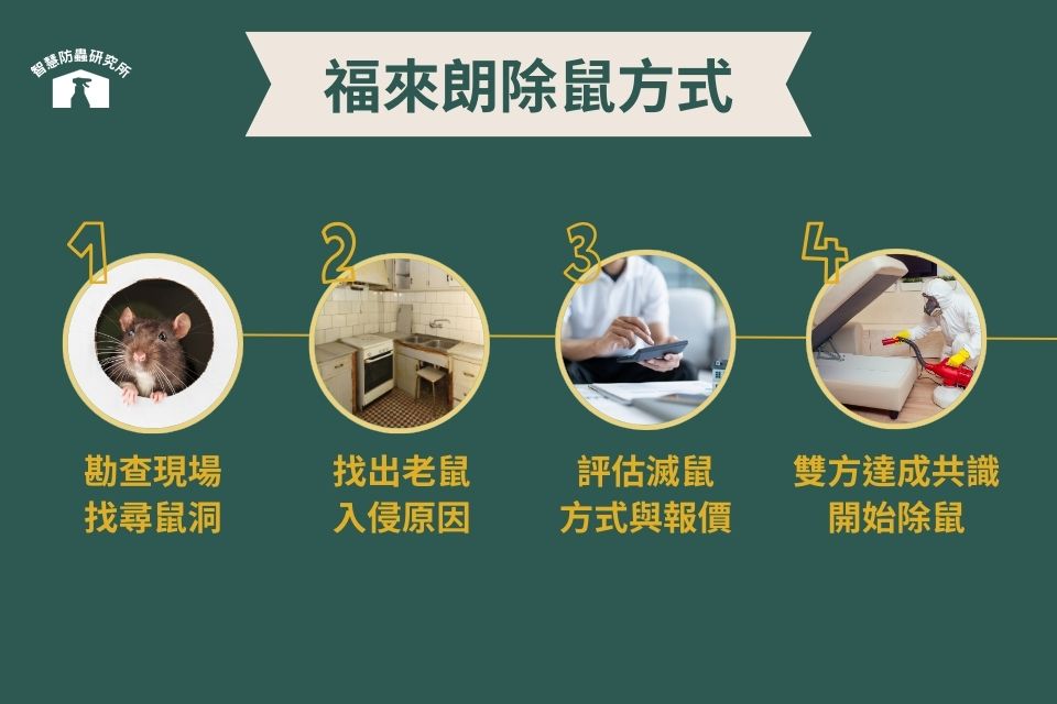 滅鼠公司Dcard推薦：福來朗滅鼠專家