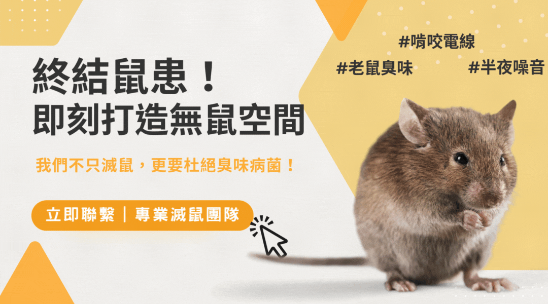 line諮詢