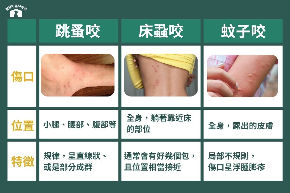 床蝨跳蚤叮咬特徵