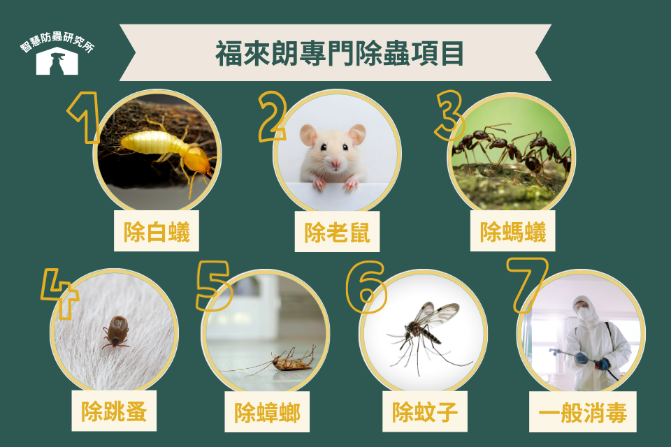 福來朗專門除蟲/消毒項目