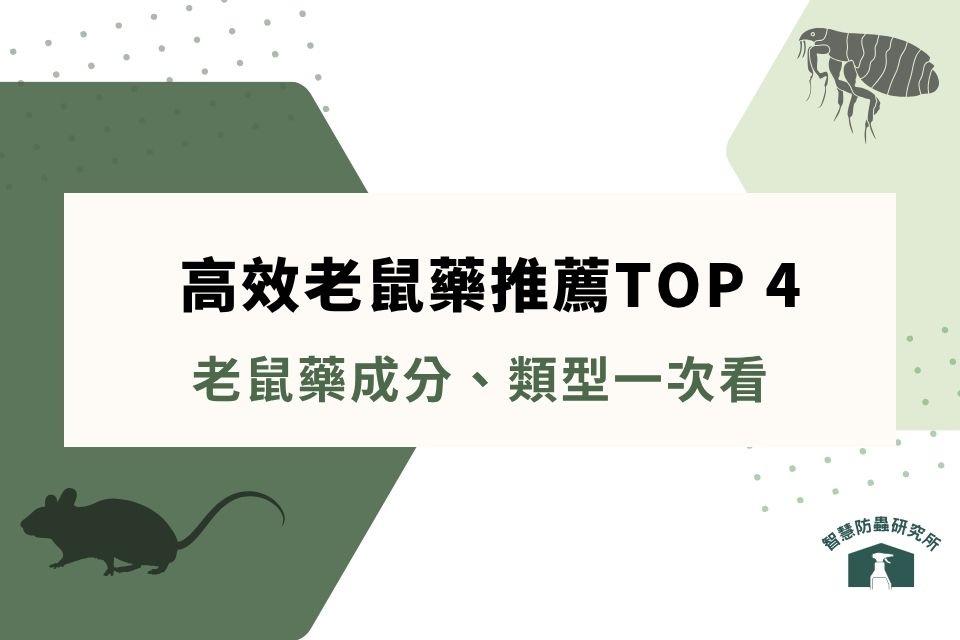 老鼠藥哪裡買?最有效的老鼠藥是誰?老鼠藥推薦指南這裡看!
