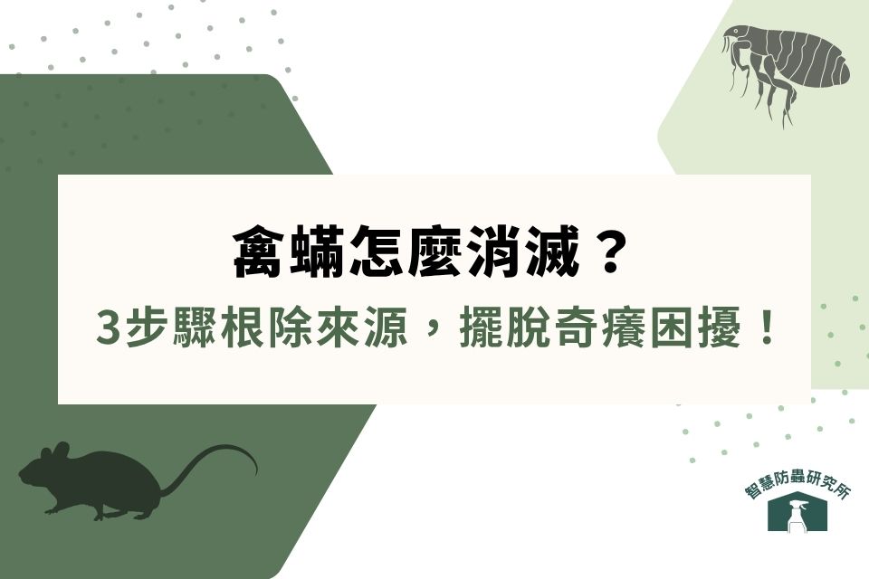 被禽蟎咬了？禽蟎怎麼消滅？3步驟根除禽蟎來源，讓你擺脫奇癢困擾！