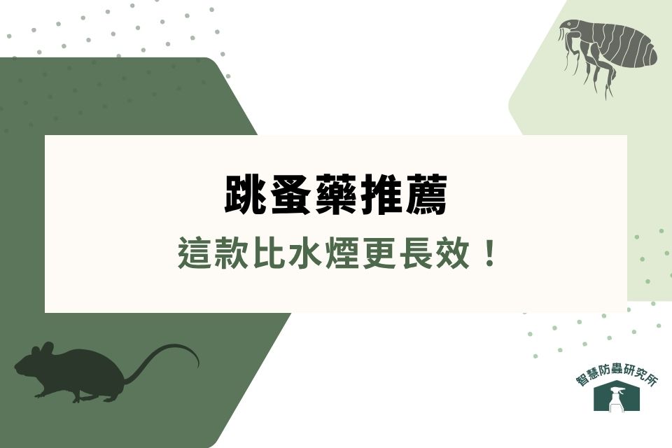 跳蚤藥推薦｜家裡有跳蚤怎麼辦？解析 3 大環境用藥：這款比水煙更長效！