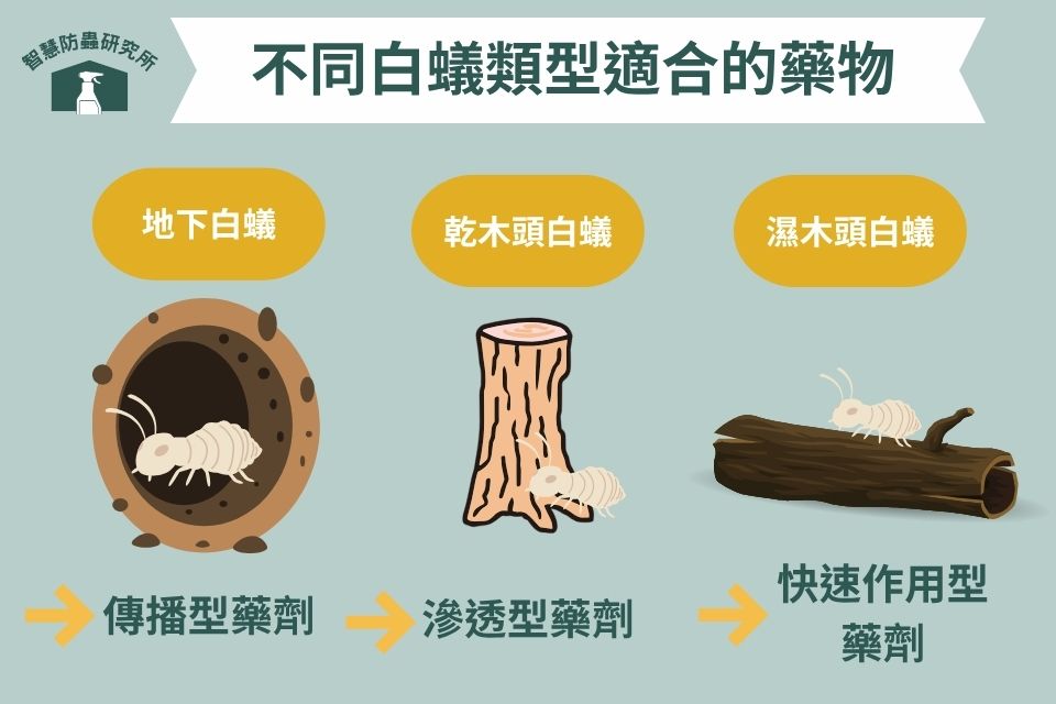 不同白蟻類型適合的藥