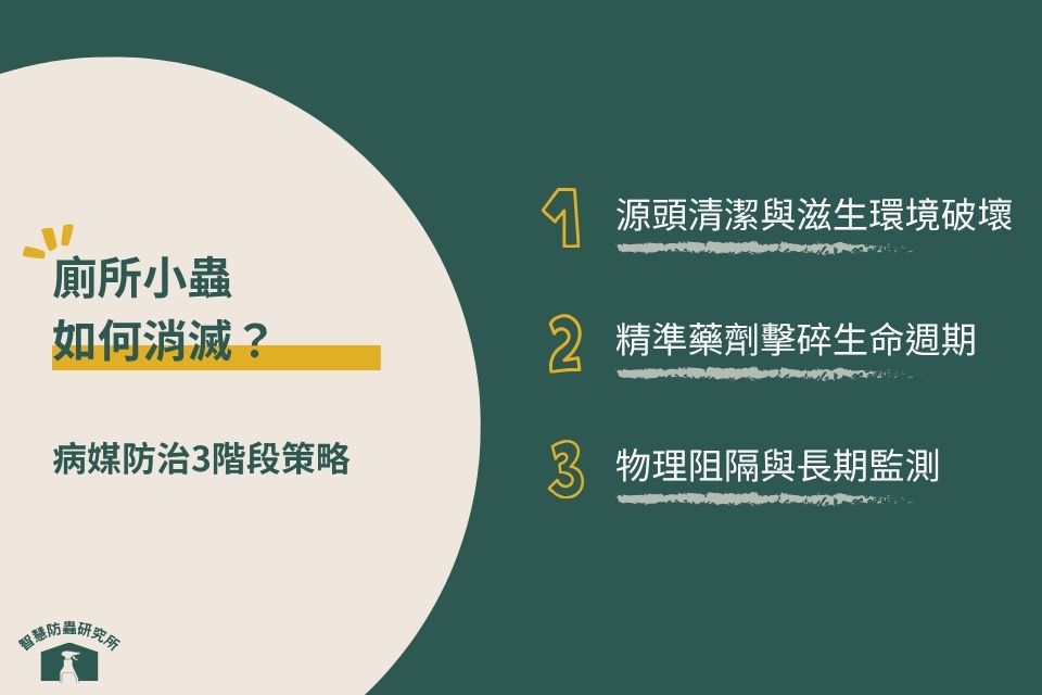 福來朗病媒防治3階段策略