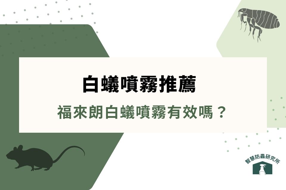 白蟻噴霧推薦｜福來朗白蟻噴霧有效嗎？ptt 評價、哪裡買、使用方法