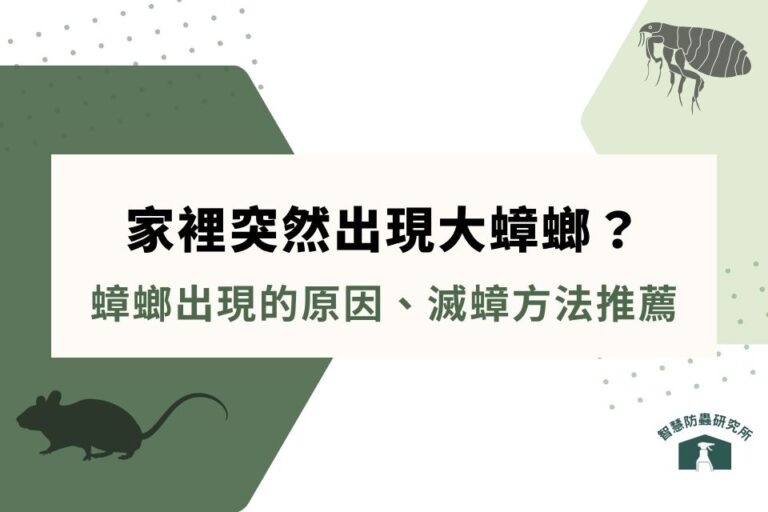家裡突然出現大蟑螂?怎麼進來的?5大蟑螂出現的原因、滅蟑方法推薦 - 智慧防蟲研究所