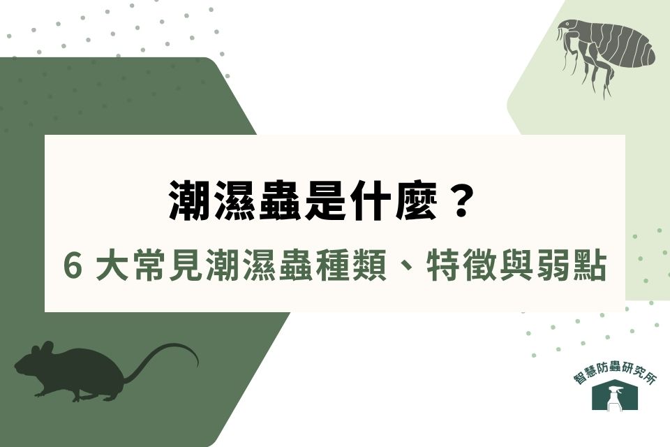 潮濕蟲是什麼? 6 大常見潮濕蟲種類、特徵與弱點,專家教你辨識!