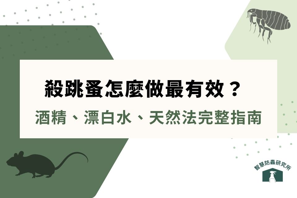 殺跳蚤怎麼做最有效？2026 如何除跳蚤 5 招｜酒精、漂白水、天然法完整指南