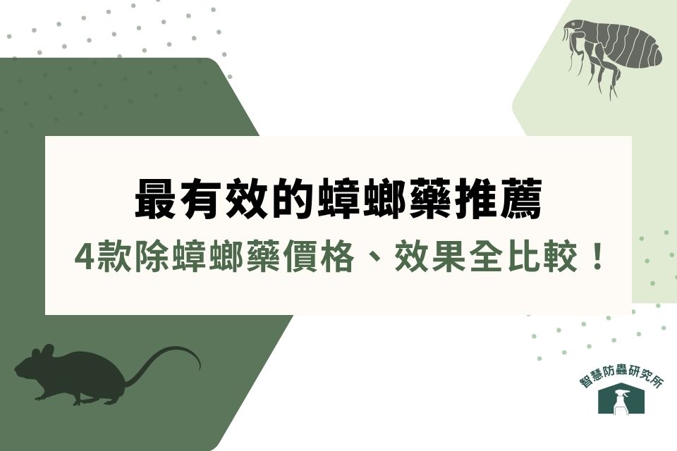 最有效的蟑螂藥推薦|市售除蟑螂藥推薦4款,價格、效果全比較!